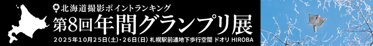 第8回年間グランプリ展