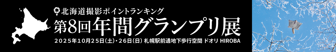 第8回年間グランプリ展